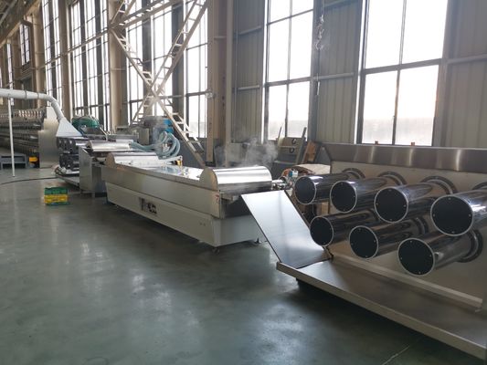 購入 55kw 6400 Dtexのナイロン押出機機械庭の装飾 online manufacture